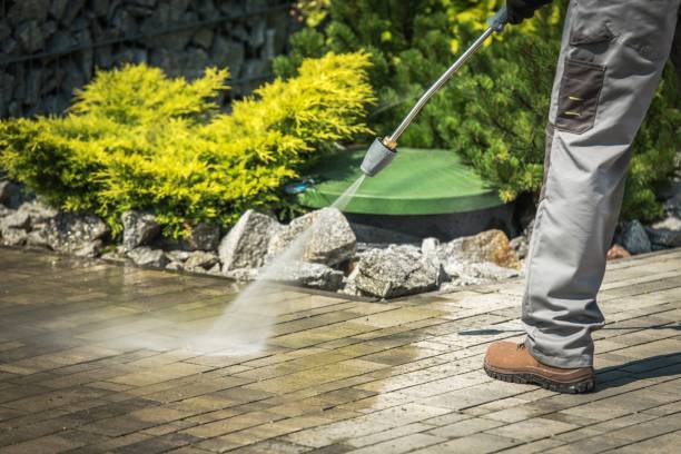 Best Spring Cleaning  in Encinal, TX